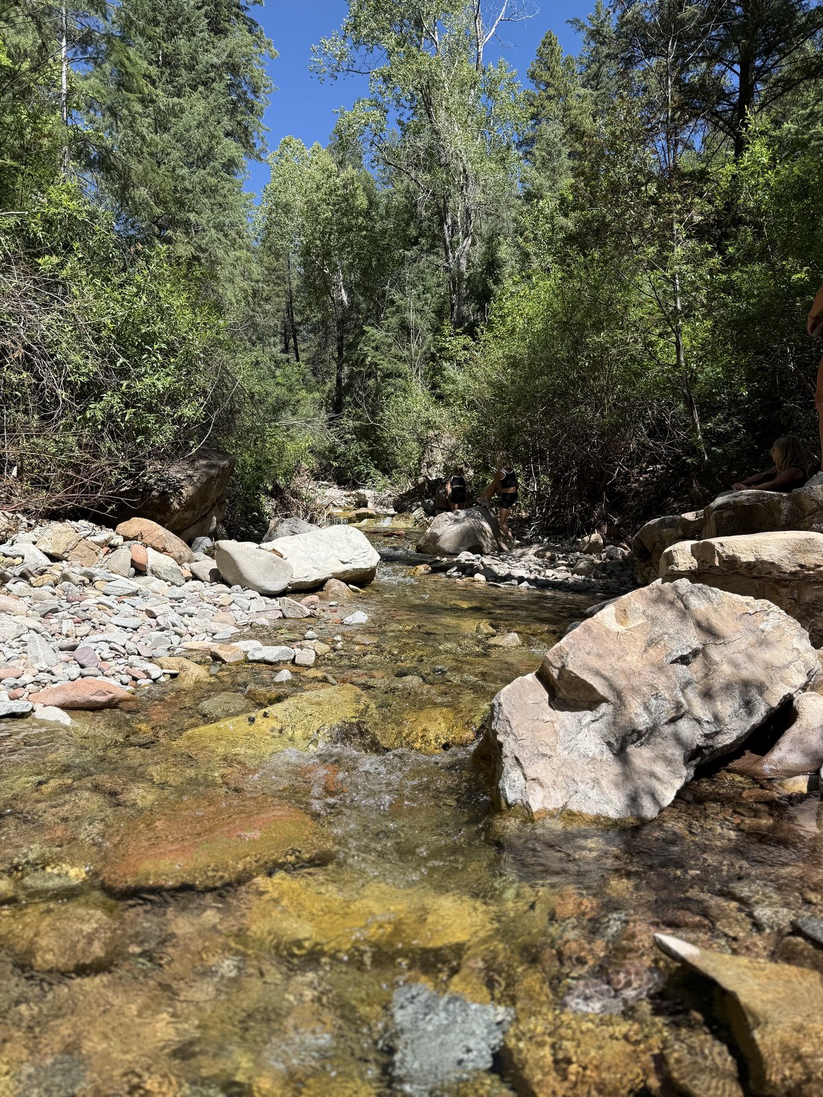 Wading in a clear mountain creek near Durango